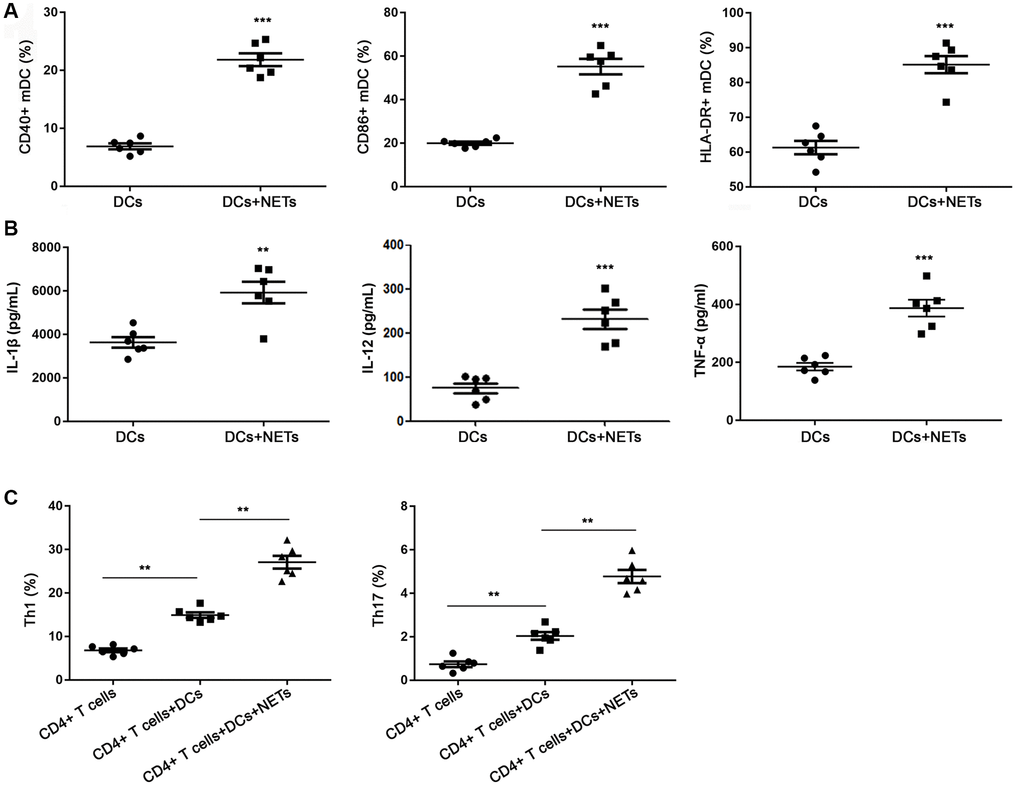 FFAs induced NETs promote the activation of DCs. (A) DCs stimulated with NETs could increase the expression of CD40, CD86 and HLA-DR. (B) DCs stimulated with NETs could improve the release level of IL-1β, IL-12 and TNF-α. (C) DCs stimulated with NETs could promote the differentiation of primary CD4+ T into Th1 and Th17 cells. Abbreviations: FFAs: free fatty acids; NETs: neutrophil extracellular traps; DCs: dendritic cells. **P ***P 