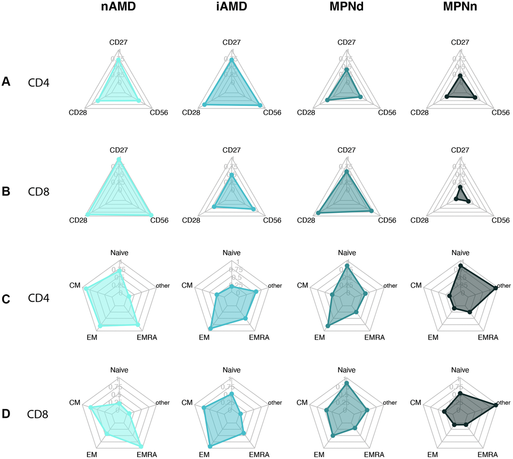 Radarplots of (A) CD4+ T cell with loss of CD27 and CD28 and CD56 expression. (B) CD8+ T cell with loss of CD27 and CD28 and CD56 expression. (C) CD4+ T cell differentiation profile. (D) CD8+ T cell differentiation profile. A more senescent profile is characterized by loss of CD27 and CD28, more CD56, and more terminally differentiated cells (EM and EMRA). Abbreviations: nAMD: neovascular AMD; iAMD: intermediate AMD; MPN: myeloproliferative neoplasms; MPNd: Patients with MPN and drusen; MPNn: patients with MPN and normal retinas Naïve: naïve T-cells; CM: central memory T cells; EM: effector memory T cells; EMRA: effector memory CD45Ra positive T cells; other: includes intermediate subsets of T cells not belonging to Naïve, CM, EM, or EMRA.