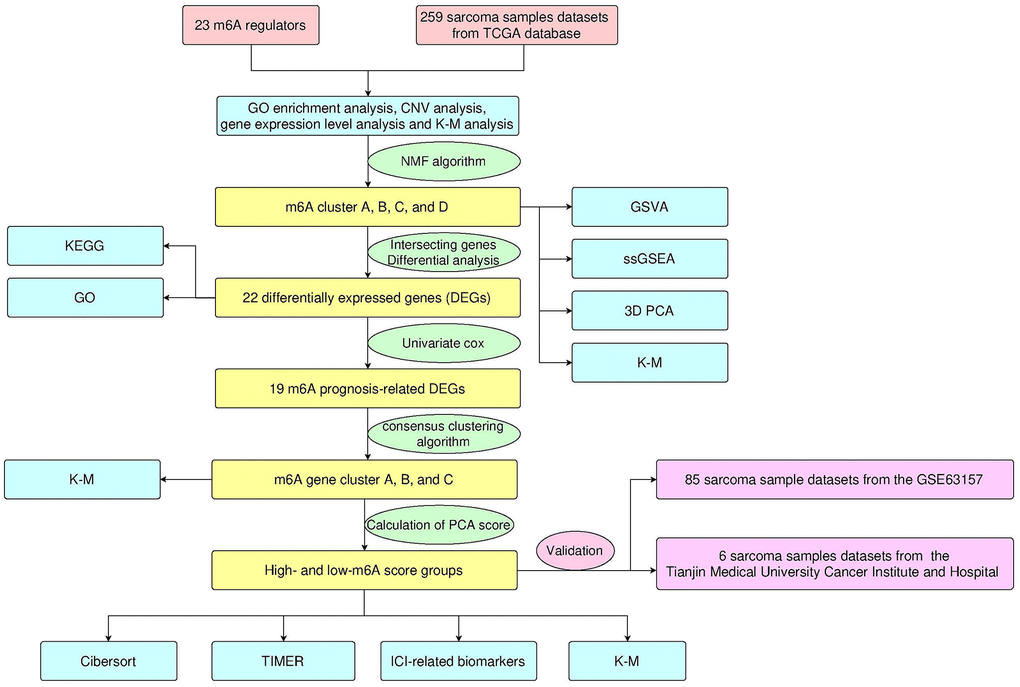 Design and workflow of the study.