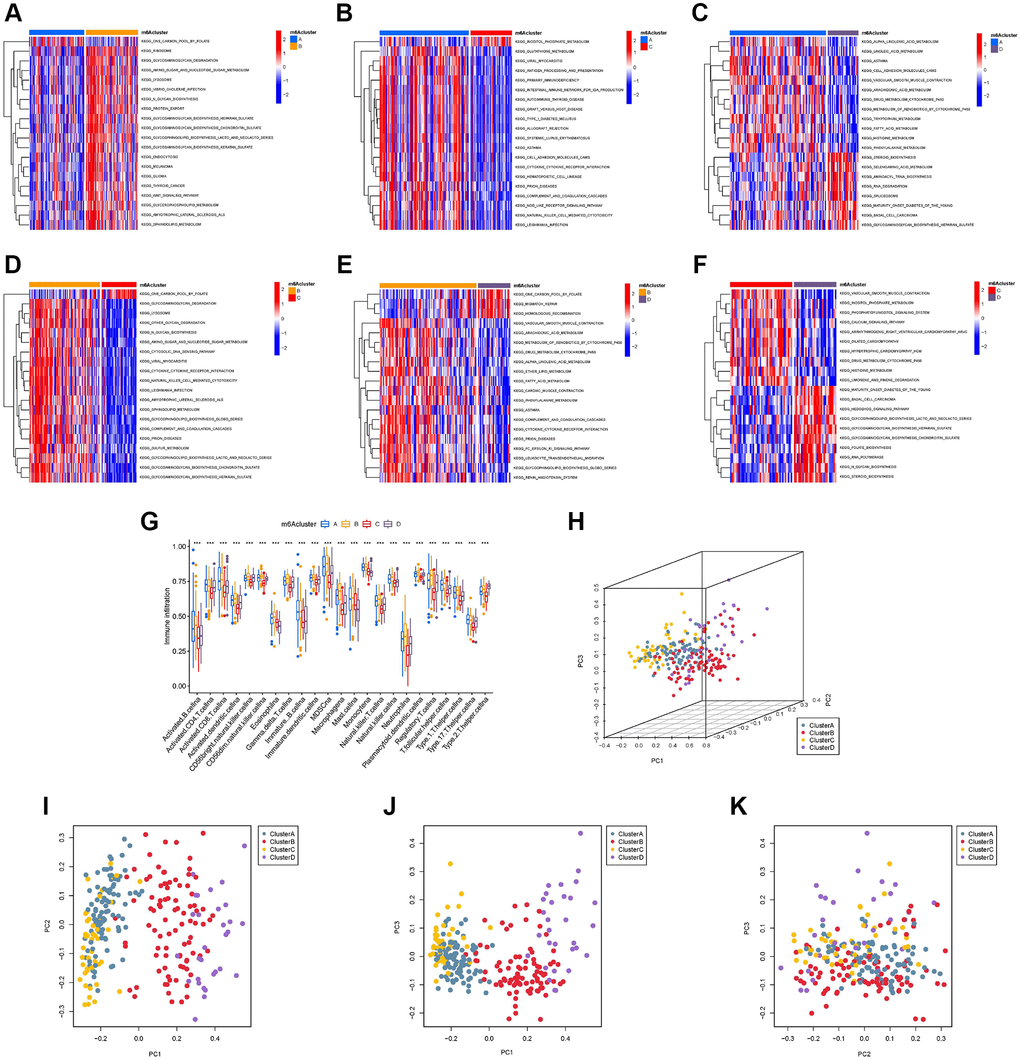 Gene set variation analysis (GSVA), single sample gene set enrichment analysis, and principal component analysis (PCA). The heat map shows the GSVA scores of representative hallmark passages by comparing two by two m6A regulator expression patterns. (A) m6A cluster-A vs. m6A cluster-B; (B) m6A cluster-A vs. m6A cluster-C; (C) m6A cluster-A vs. m6A cluster-D; (D) m6A cluster-B vs. m6A cluster-C; (E) m6A cluster-B vs. m6A cluster-D; (F) m6A cluster-C vs. m6A cluster-D; (G) Abundance of infiltrating cells in each of the four m6A modification patterns. Asterisks represent the statistical P-values (*P **P ***P H) Three-dimensional PCA (3D PCA) results of four m6A modification clusters, showing significant differences in the transcriptome between different modification clusters. (I) Projection of 3D PCA on the first principal component (PC1) and the second principal component (PC2). (J) Projection of 3D PCA on PC1 and the third principal component (PC3). (K) Projection of 3D PCA on PC2 and PC3.