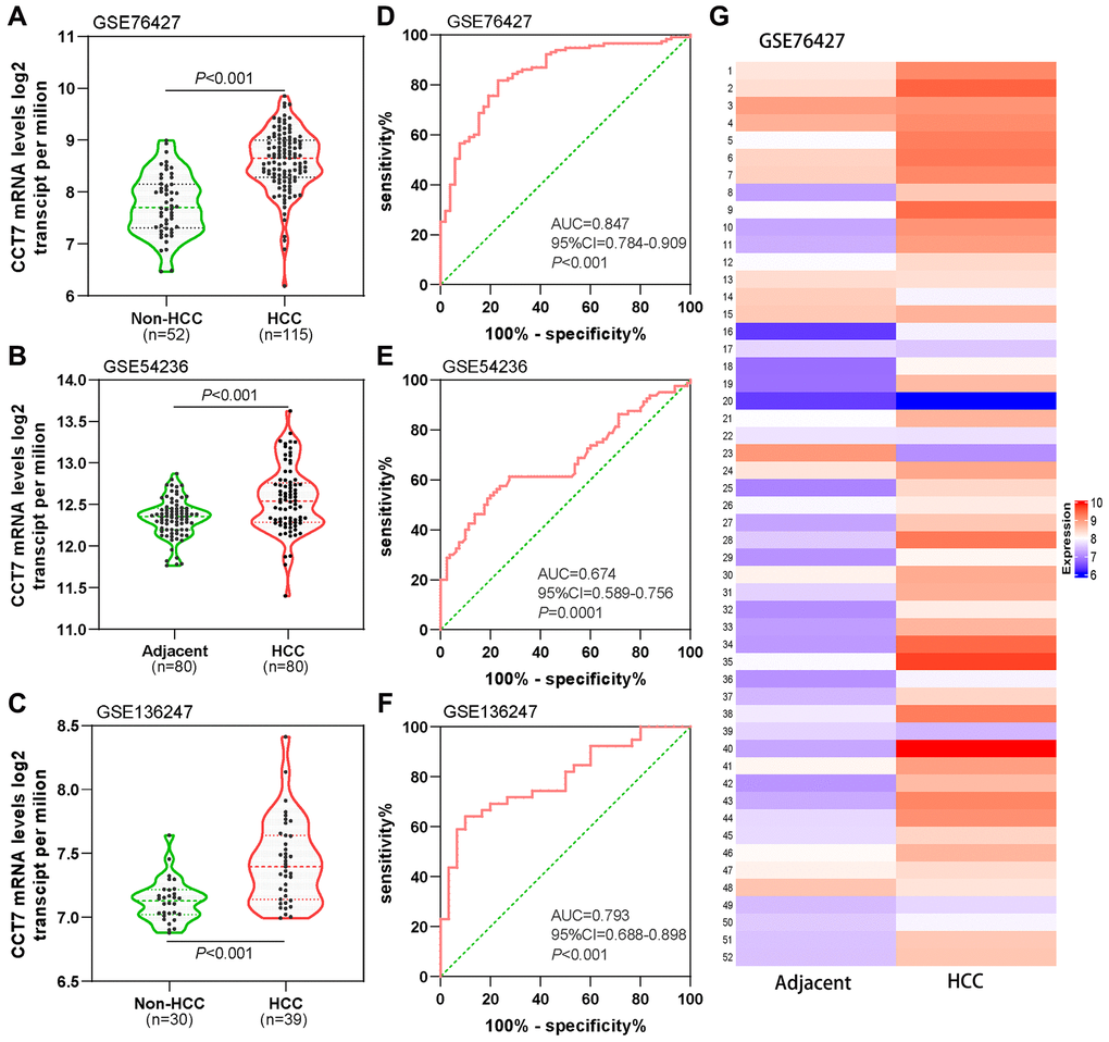 Diagnostic value of CCT7 mRNA expression for HCC in the GEO database. CCT7 mRNA levels were significantly greater in HCC than in non-HCC tissues in GSE76427 (A), GSE54236 (B) and GSE136247 (C). ROC curves exhibited the good diagnostic significance of CCT7 mRNA expression for HCC in GSE76427 (D), GSE54236 (E) and GSE136247 (F). (G) The heat map shows CCT7 mRNA expression in 52 paired HCC and corresponding adjacent normal tissues.