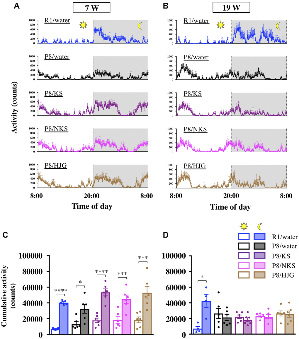 Oral administration of Kampo formulas does not improve circadian rhythm disruption in SAMP8 mice. Time course of locomotor activity of mice aged 7 weeks (A) and 19 weeks (B) in their home cages. The time between 8:00 and 20:00 and between 20:00 and 8:00 represents the diurnal and nocturnal phases, respectively. The cumulative activity during the diurnal and nocturnal phases of mice aged 7 weeks (C) and 19 weeks (D) is shown. Data are shown as the mean ± SEM (n = 4−6). *P **P ***P ****P t-test. Abbreviations: KS: kososan; NKS: nobiletin-rich kososan; HJG: hachimijiogan; W: weeks of age.