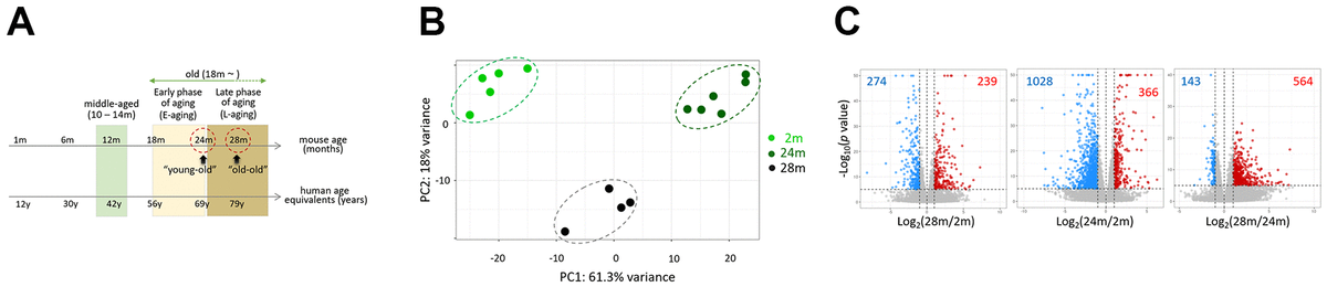 class="figure-viewer-img"