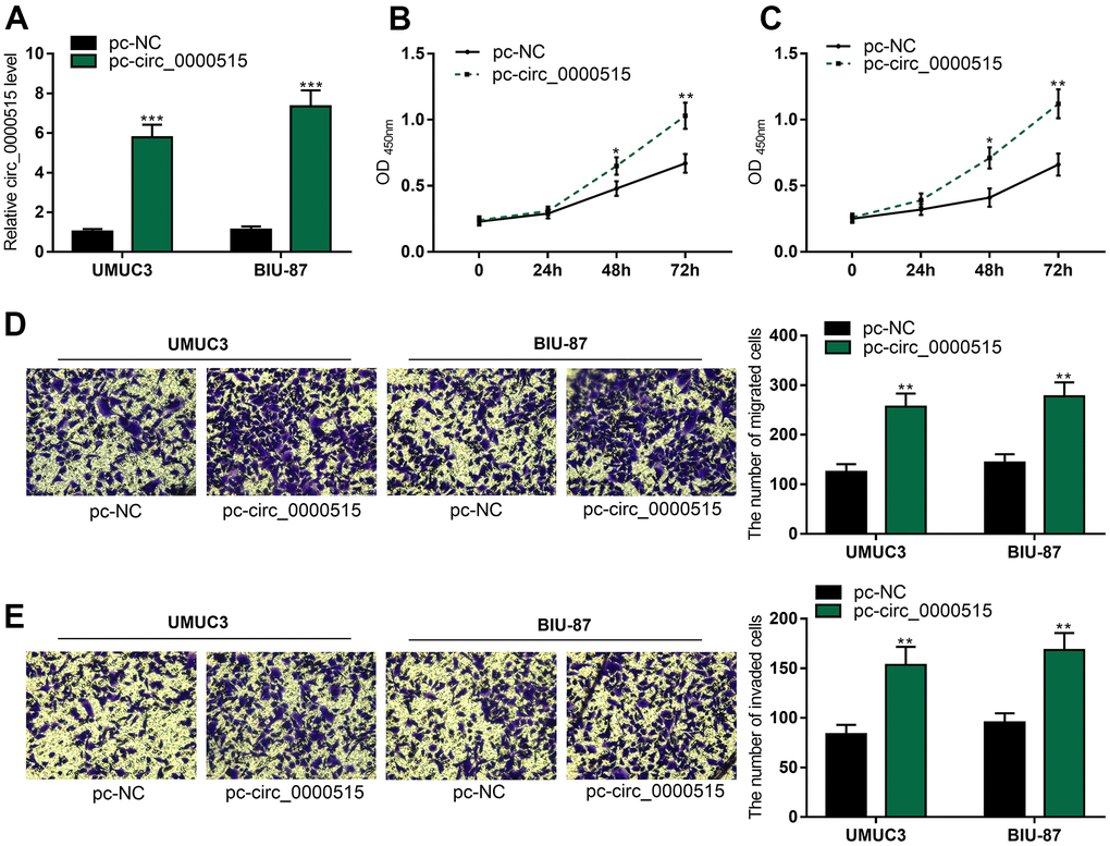 Overexpression of circ