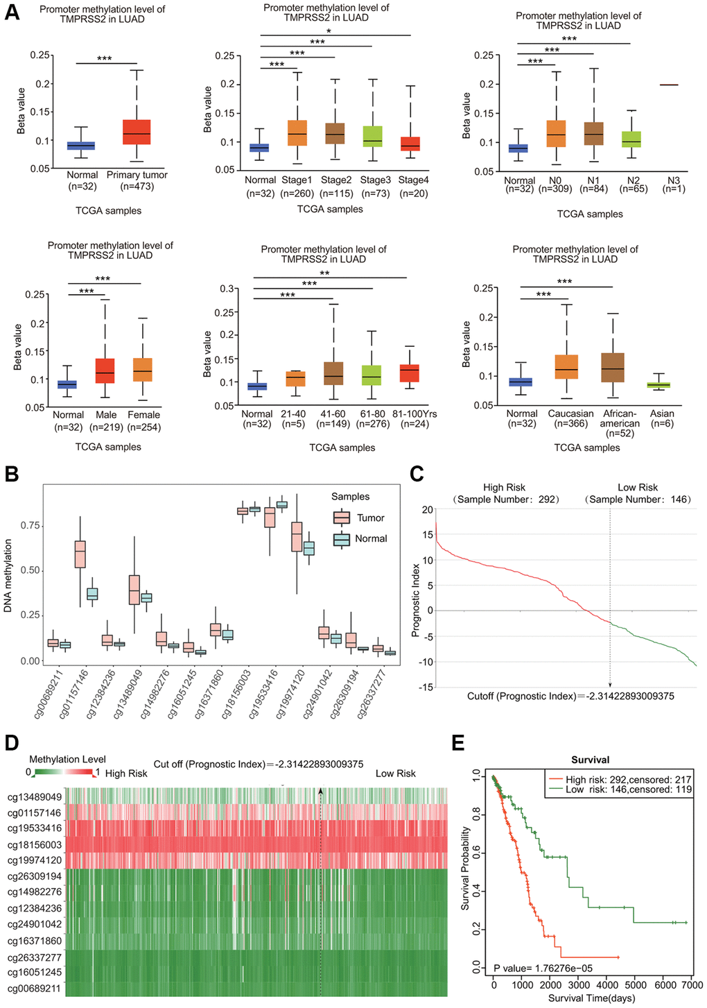 DNA methylation of TMPRSS2 in LUAD. (A) Associations of DNA methylation of TMPRSS2 with clinicopathological parameters of LUAD. (B) Methylation levels of TMPRSS2 in LUAD according to the SurvivalMeth database. (C) The distribution of prognostic index in LUAD. (D) Heatmap of DNA methylation of TMPRSS2 in LUAD. (E) The prognostic potential of DNA methylation of TMPRSS2 in LUAD based on the SurvivalMeth database. *p **p ***p 