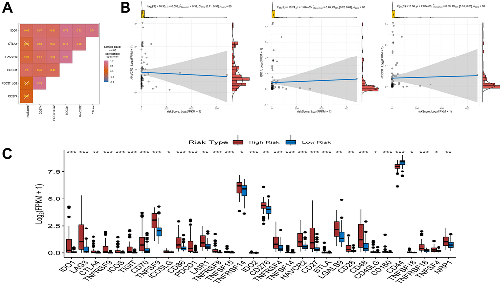 Association between riskscore and immune check point genes. (A) association analyses between six immune check point genes and risk score. (B) association between risk score and HAVCR2, association between risk score and IDO1, association between risk score and PDCD1. (C) Comparison of immune checkpoint blockade-related genes expression levels between high/low-risk groups.