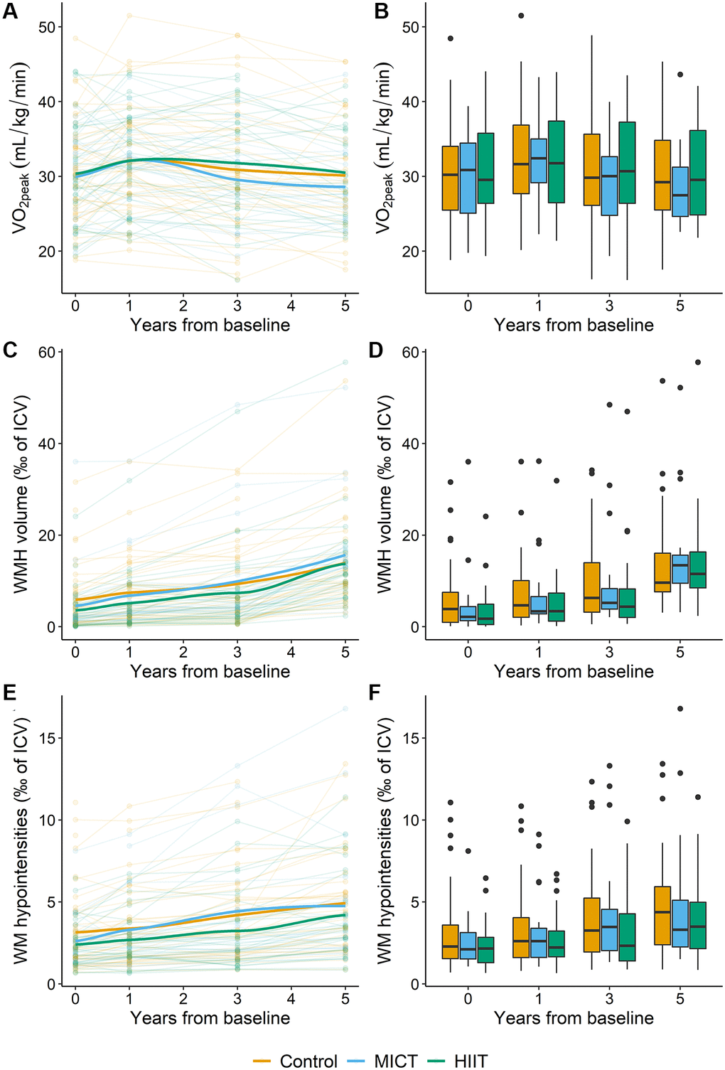 Overview of the development of VO2peak, WMH and WM-hypointensity volumes (given as ‰ of ICV) in the control (orange), MICT (blue) and HIIT (green) groups during the five-year intervention period. (A) Each line represents the VO2peak values for an individual participant according to group adherence with the thicker lines representing the mean of each group. (B) Box plot of VO2peak in the three intervention groups during the intervention period. (C) Each line represents the WMH volume as ‰ of ICV for an individual participant according to group adherence with the thicker lines representing the mean of each group. (D) Box plot of WMH volume as ‰ of ICV in the three intervention groups during the intervention. (E) Each line represents the WM-hypointensity volume as ‰ of ICV for an individual participant according to group adherence with the thicker lines representing the mean of each group. (F) Box plot of WM-hypointensity volume as ‰ of ICV in the three intervention groups during the intervention. In the box plots (B, D, and F), the box indicates the interquartile range with the top line of the box representing the third quartile and the bottom line representing the first quartile. The whiskers extend up to the minimum or maximum values, but no further than 1.5 times the interquartile range, and the black dots represent data beyond the end of the whiskers. Abbreviations: VO2peak: peak oxygen uptake; WMH: white matter hyperintensities; ICV: intracranial volume; WM: white matter; MICT: moderate-intensity continuous training; HIIT: high-intensity interval training.