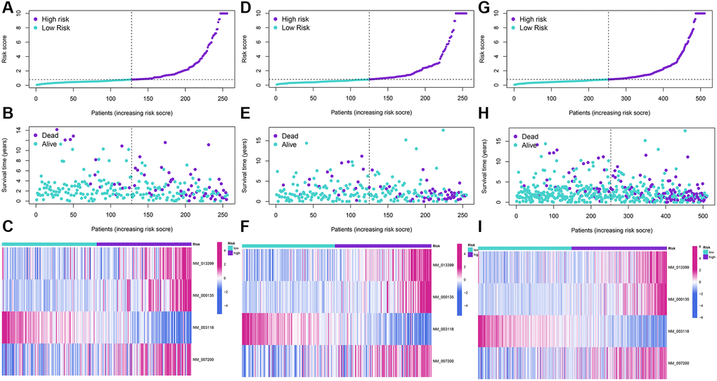 Development and validation of a four-APA-based prognostic signature. The risk score distribution, gene expression, and LGG patients’ survival status in the training (A–C), test (D–F), and whole sets (G–I) based on the signature.