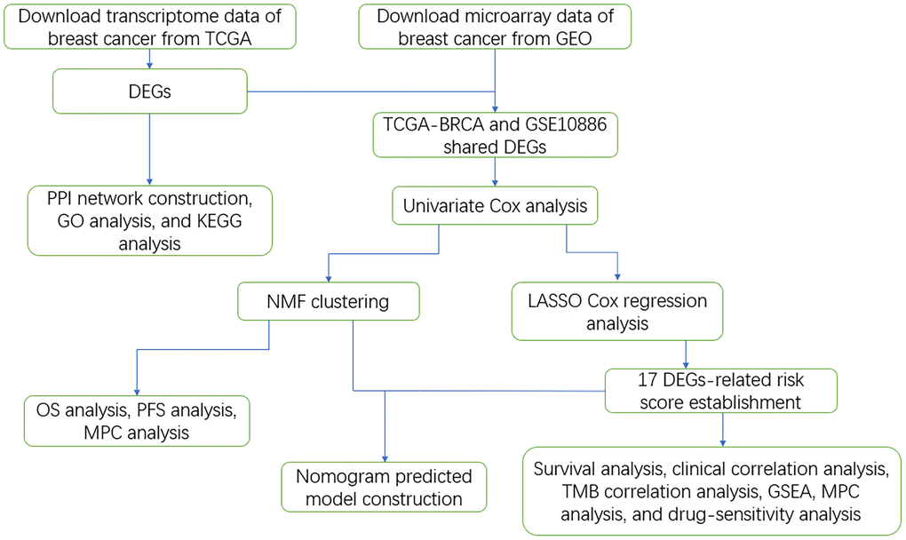 Work flowchart of the study.