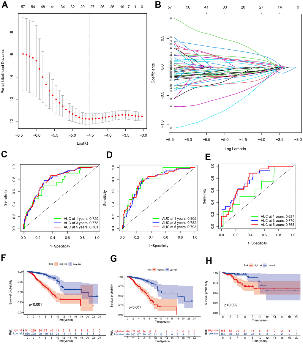 (A, B) The LASSO regression analysis identified 17 DEGs mostly related to prognosis. (C–E) The 1-, 3-, and 5-year ROC analyses in the whole TCGA-BRCA cohort, TCGA-BRCA training cohort, and TCGA-BRCA test cohort. (F–H) K-M curves of OS for low- and high-risk breast cancers in the whole TCGA-BRCA cohort, the TCGA-BRCA training cohort, and TCGA-BRCA test cohort. Abbreviations: LASSO: least absolute shrinkage and selection operator; DEGs: differentially expressed genes; K-M: Kaplan-Meier; TCGA-BRCA: The Cancer Genome Atlas Breast Invasive Carcinoma; ROC: receiver operating characteristic.
