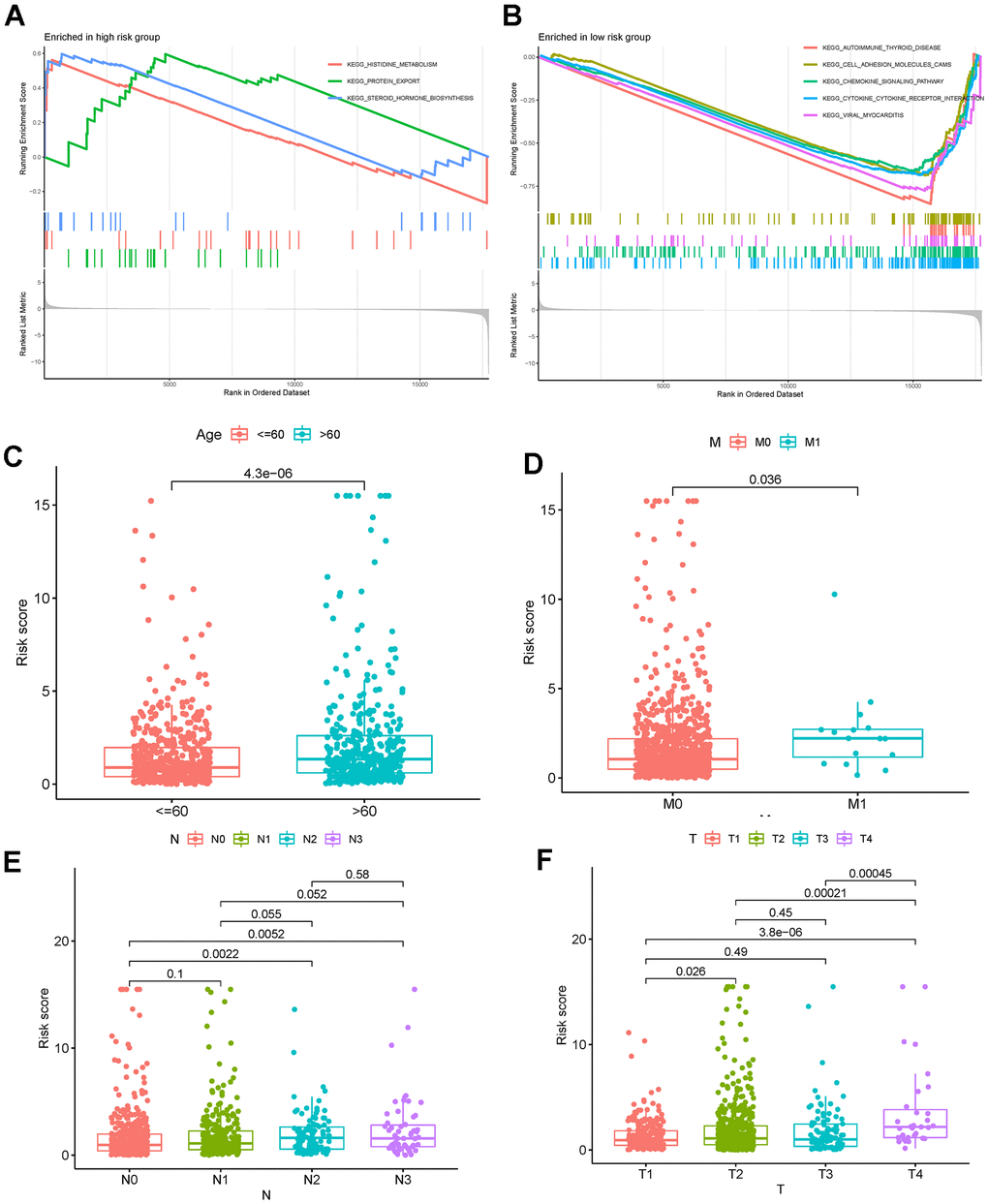 (A, B) GSEA in low- and high-risk breast cancer. (C–F) Correlation analyses of the risk score with age, M stage, N stage, and T stage. Abbreviations: GSEA: gene set enrichment analysis.