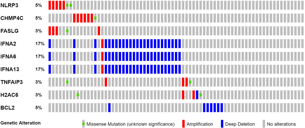 Mutations in NRGs (Abbreviations: N: normal; T: tumor).