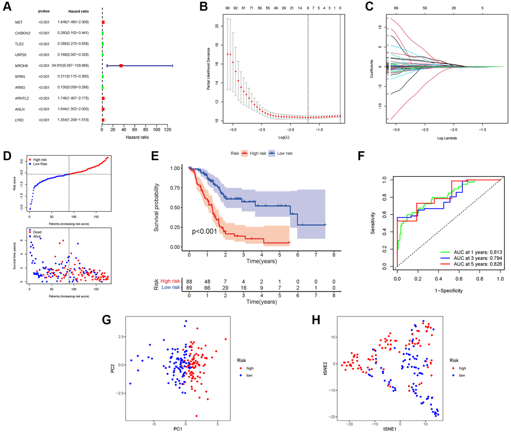 Construction of risk signature in the TCGA cohort. (A) Univariate cox regression analysis of OS. (B) LASSO regression of OS-related genes. (C) Cross-validation for tuning the parameter selection. (D) Risk survival status plot. (E) Kaplan–Meier curve result. (F) The AUC of the prediction of 1, 3, 5-year survival rate of PAAD. (G) PCA plot. (H) t-SNE plot.