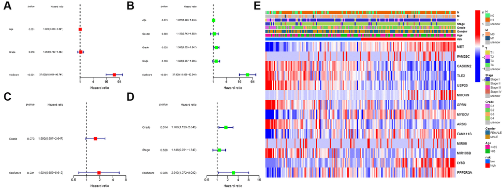 Univariate and multivariate cox regression analyses. (A, B) TCGA cohort. (C, D) GEO cohort. (A, C) Univariate analysis. (B, D) Multivariate analysis. (E) Heatmap.