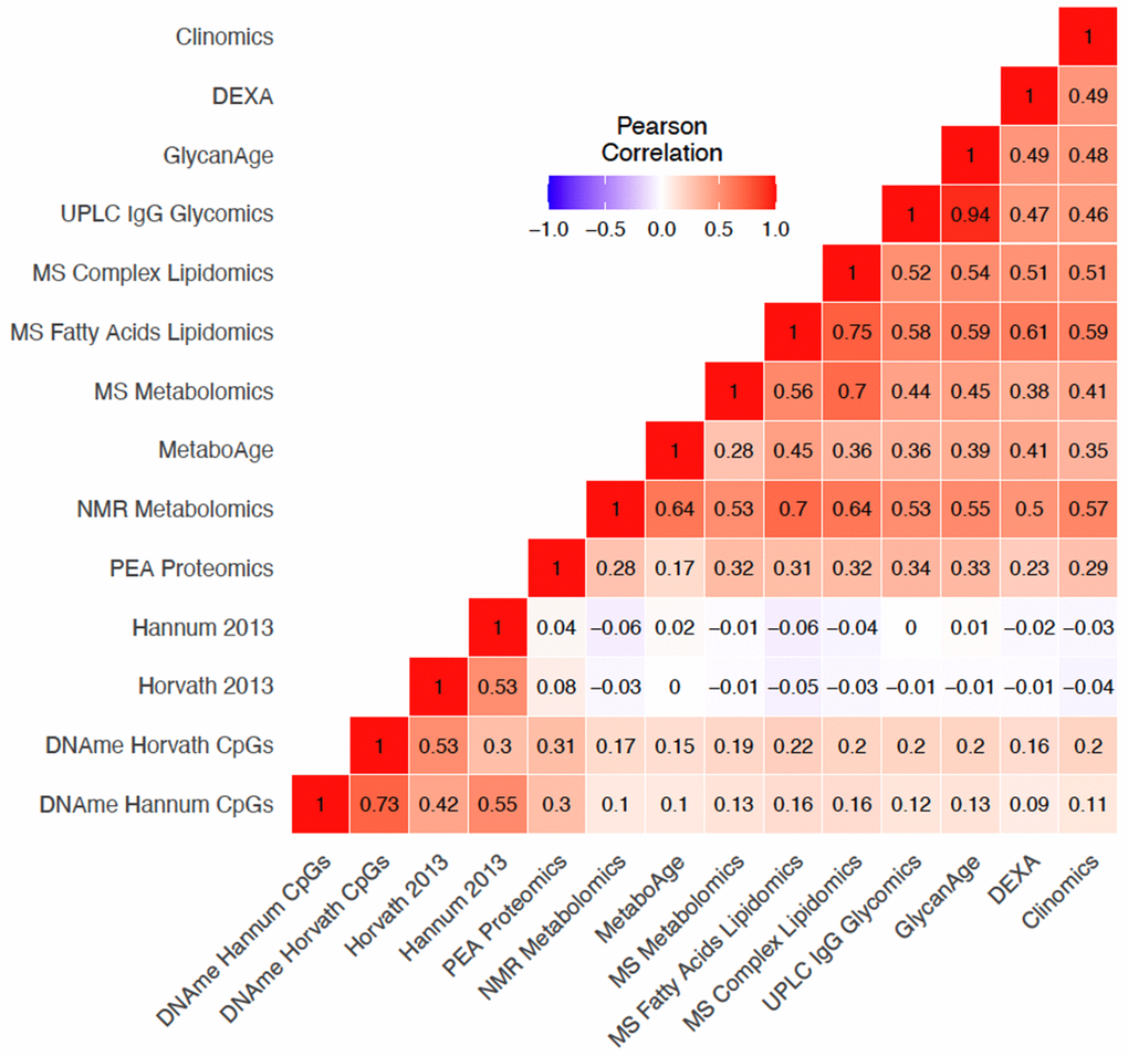 Variable positive correlations between different omics age accelerations. Pearson correlation of OCAAs (omics clock age–chronAge) in ORCADES testing and training samples. Colour indicates the direction and the shade and number indicate the magnitude of the correlation. Rows and columns are ordered based on hierarchical clustering of the pairwise correlations.