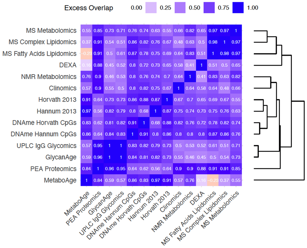 Bivariate analyses reveal that clock pairs tend to overlap more than expected by chance in the variance in chronAge they explain. The amount of excess overlap that would be expected by chance is indicated for each pair of clocks. This is the deviation of the observed variance in chronAge explained by a bivariate model containing a pair of OCAs and the variance expected to be explained by that pair given that we know how much variance in chronAge they explain individually, if each of the clocks were independent samples from a set of latent complete predictors. This measure of deviation of observed from expected is scaled (See Methods for details) so that a value of 1 means that the second clock is adding no more information than the first, meaning that they overlap entirely in the information they provide about chronAge. A value of 0 would indicate the observed variance explained in chronAge is exactly what is expected if the two clocks were independently sampling. Negative values indicate disproportionately complementary components of chronAge were being tracked.