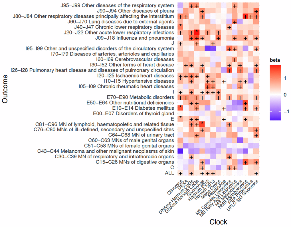 Positive age acceleration associations observed with increased disease risk. Associations with rates of hospitalisation. +/* Association nominally/FDRe hazard ratios, effect sizes are unitless after division). A value of one indicates that a year of OCAA is equally as deleterious as a year of chronAge and is indicated in salmon colour. To facilitate reading, note the DNAme Horvath CpGs-BMI beta is 1.02 and the DNAme Hannum CpGs-C81-C96I beta is 1.00. Clock: the omics clock on which OCAA was measured. Disease group: the set of diseases (defined by ICD10 codes) which were tested for first incidence after assessment against the clock, already prevalent cases were excluded (Case numbers for each disease block in Supplementary Table 5).