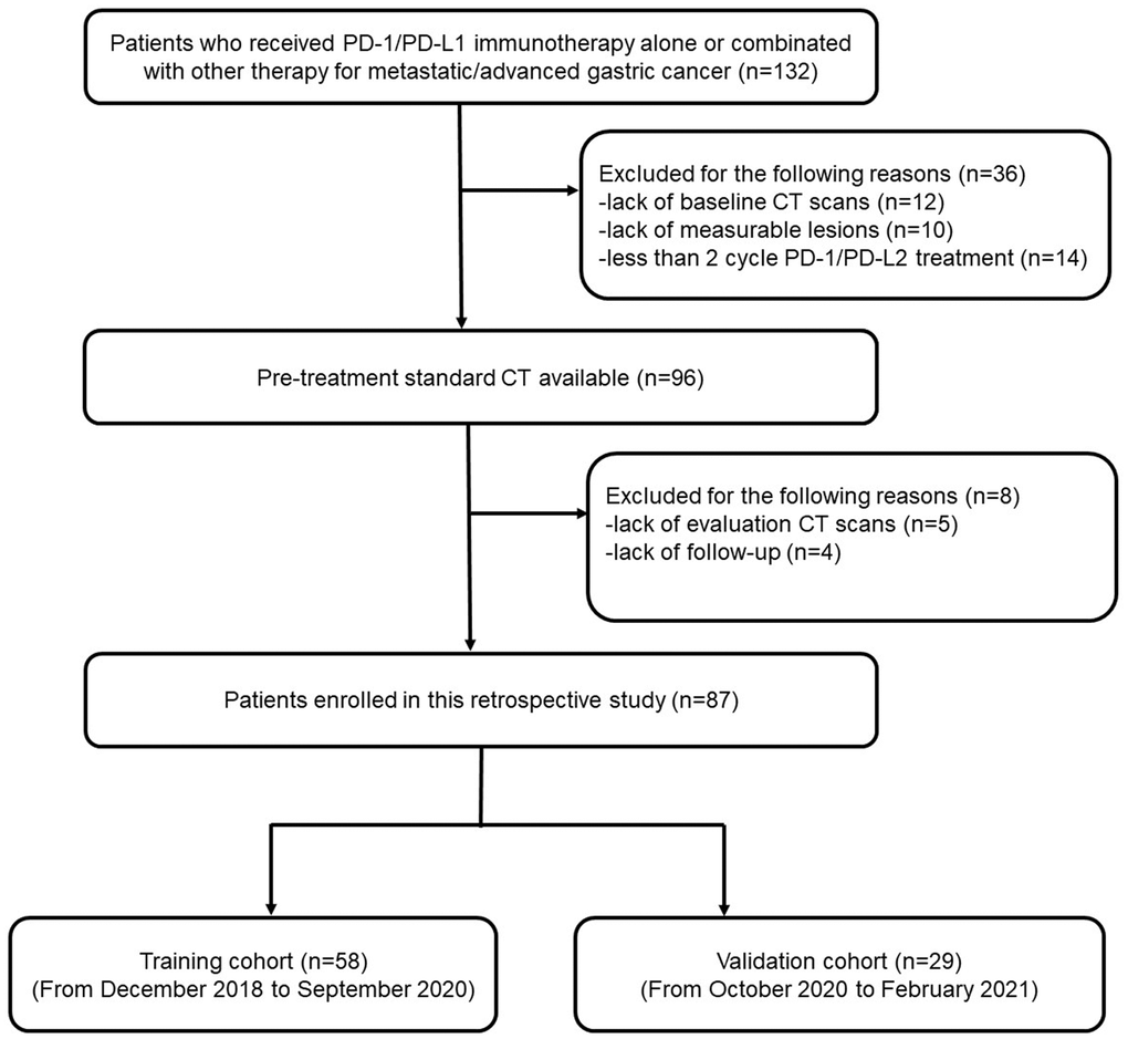 A flow chart of patient enrollment.