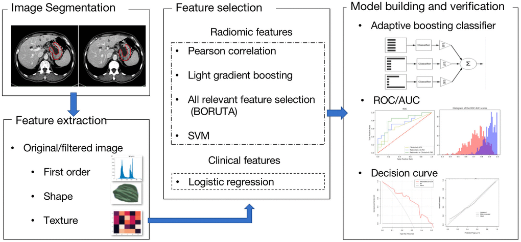 A flow chart of the radiomics analysis. Based on CT images, important imaging features were screened and combined with important clinical risk factors to generate radiomics nomograms. The performance and clinical utility of the radiomics model to predict anti-PD-1 treatment efficacy were evaluated through receiver operator characteristic (ROC), calibration and decision curve analyses. Survival prediction was also explored.