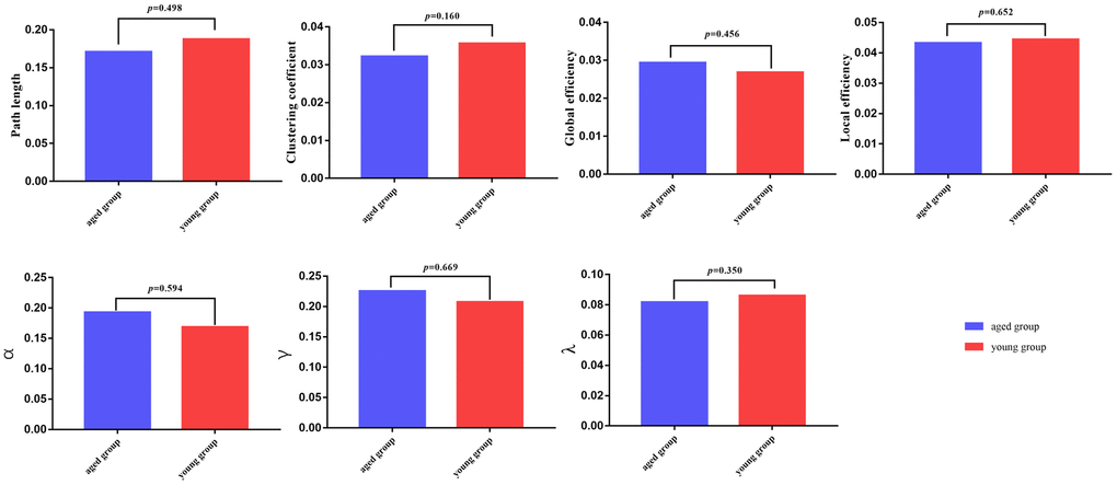 Global parameters are displayed in the bar chart, with blue bars for the aged rats and red bars for the young rats. In all of the parameters, no significant differences were found between the aged group and young group.