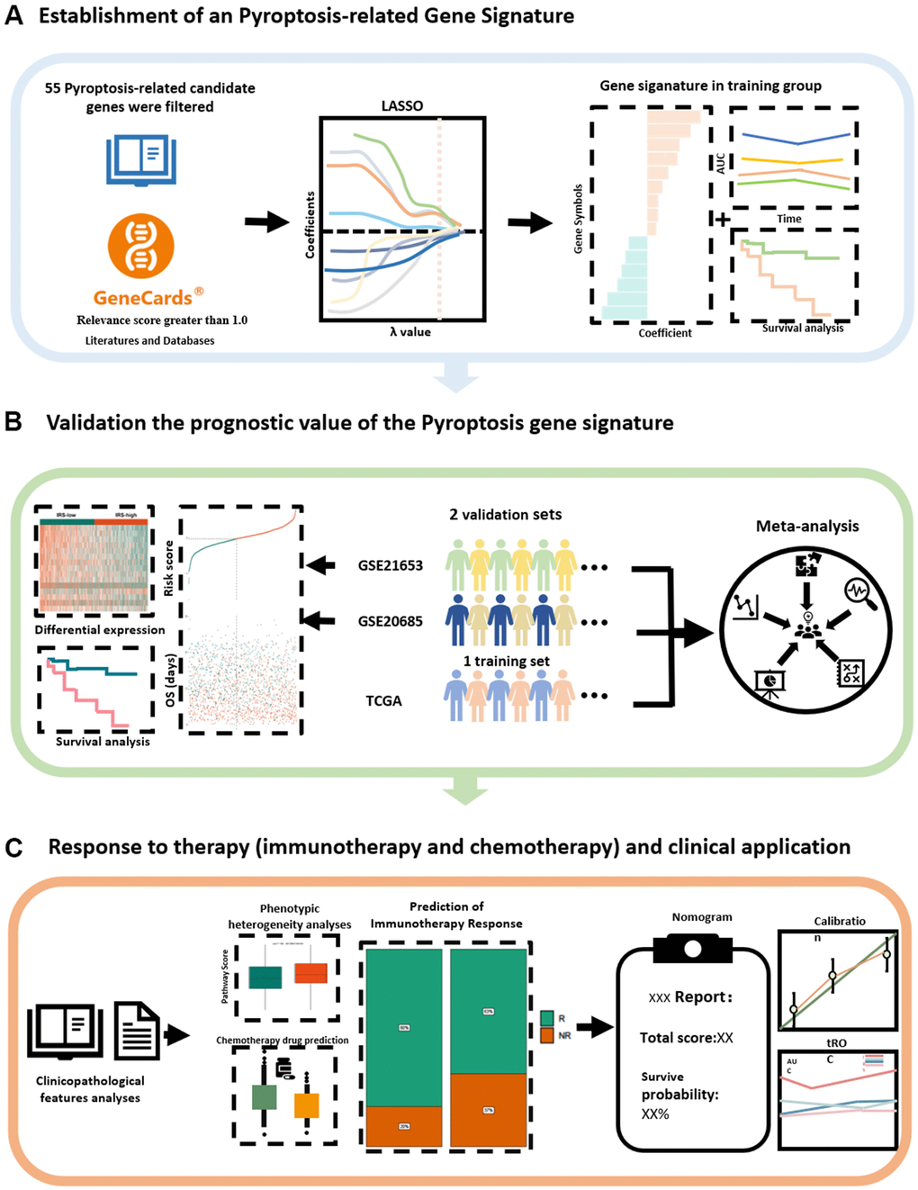 Schematic diagram of the study design. (A) A new prognostic model related to pyroptosis has been established from the literature and databases. (B) The stability and generalisability of the model was verified in an external independent database. (C) Prediction and application of PRS for clinical response to treatment. LASSO, least absolute shrinkage and selection operator; PRS, Pyroptosis-related Risk Scores; AUC, area under the curve.