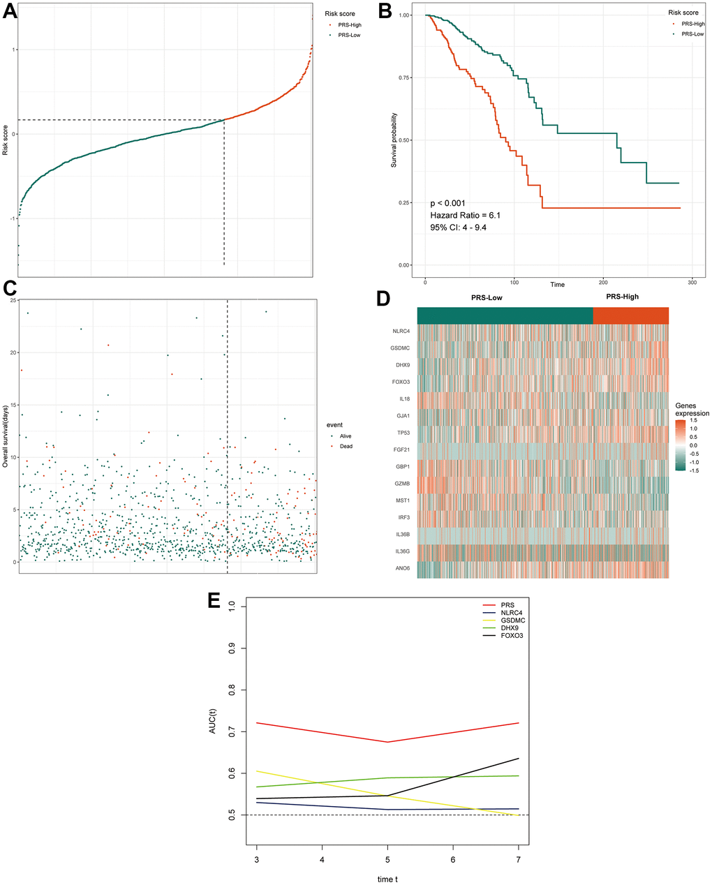 Prognostic analysis of the 15 pyroptosis-related gene signature model in TCGA cohort. (A) The distribution and cutoff value of the risk score in the TCGA cohort. (B) Kaplan–Meier curves for the OS of patients in the two groups in the TCGA cohort. (C) The distributions of OS status, OS and the risk score in the TCGA cohort. (D) Heatmap showing differences in the expression of 15 pyroptosis-related genes between high-PRS group and low-PRS group. (E) tROC analysis showed that the PRS was an accurate variable for survival prediction. The four genes shown in the figure have the four highest AUCs among the 15 signature genes. TCGA, The Cancer Genome Atlas; PRS, pyroptosis-related risk score; High-PRS, high pyroptosis-related risk score; Low-PRS, low pyroptosis-related risk score; OS, overall survival; tROC, time-dependent receiver operating characteristic; AUC, area under the curve.