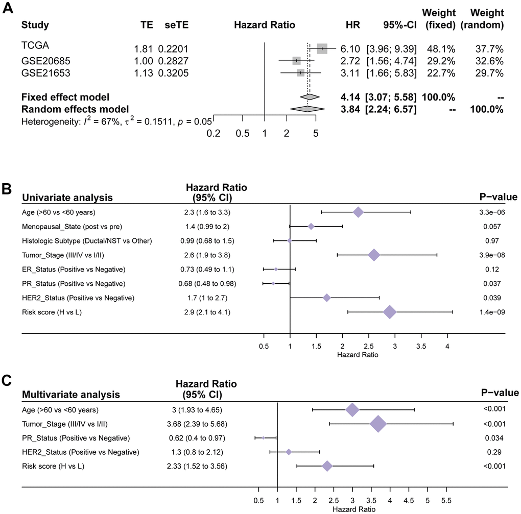 Verification of the generalizability and stability of the prediction model in TCGA cohort. (A) Meta-analysis of the TCGA training set and 2 external validation sets. (B) Univariate Cox regression analyses of OS in the TCGA training cohort. (C) Multivariate Cox regression analyses of OS in the TCGA training cohort.