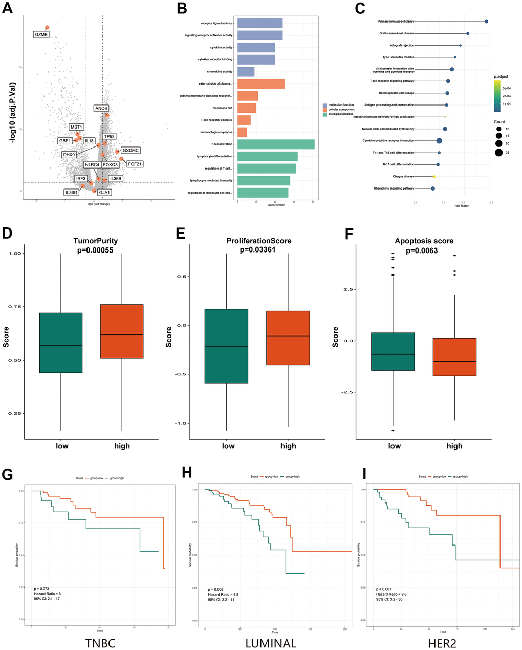 Functional and heterogeneity analysis of 15 pyroptosis-related genes between high- and low-PRS groups. (A) Volcano plot of differentially expressed genes between the low- and high-risk groups. Orange indicates the 15 pyroptosis-related gene signature. (B) The most significant or shared GO enrichment terms in the TCGA cohort. (C) The most significant or shared KEGG pathways in the TCGA cohort. (D) The Boxplots show differences in tumor purity between the high and low-PRS group. (E) The Boxplots show differences in proliferation score between the high and low-PRS group. (F) The Boxplots show differences in apoptosis score between the high and low-PRS group. (G) Results of survival analysis of high- and low- risk groups in TNBC breast cancer patients. (H) Results of survival analysis of high- and low- risk groups in LUMINAL breast cancer patients. (I) Results of survival analysis of high- and low- risk groups in HER2 breast cancer patients. The Kruskal–Wallis test was performed to calculate the P-value. GO, Gene ontology; KEGG, Kyoto Encyclopedia of Genes and Genomes; PRS, pyroptosis-related risk score; High-PRS, high pyroptosis-related risk score; Low-PRS, low pyroptosis-related risk score.