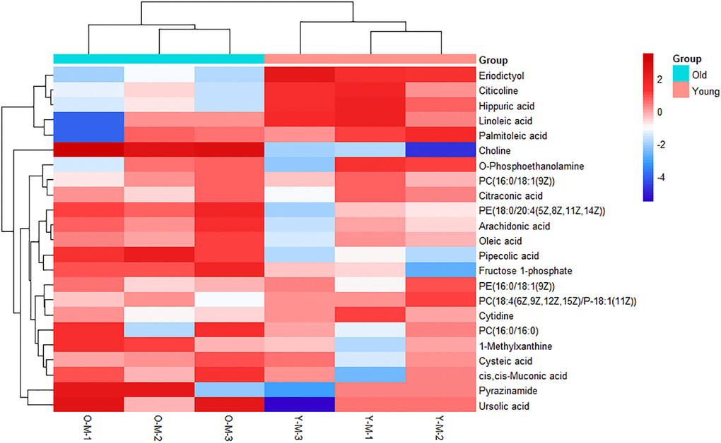 Heatmap of metabolites with significant differences. Each row represents a sample and each column represents a metabolite. Red is the high expression level, blue is the low expression level.