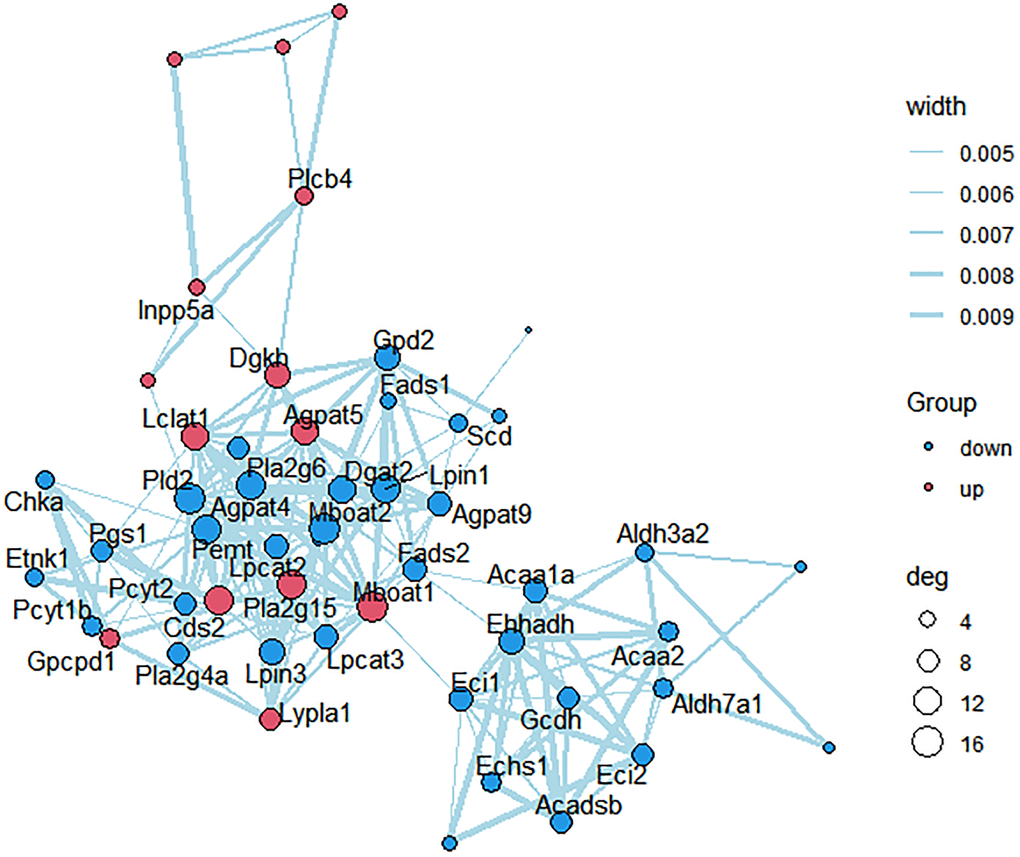 PPI network construction. Each node represents one differentially expressed protein. Each edge represents regulation. Red, up-regulated expressed protein; blue, down-regulated expressed protein.