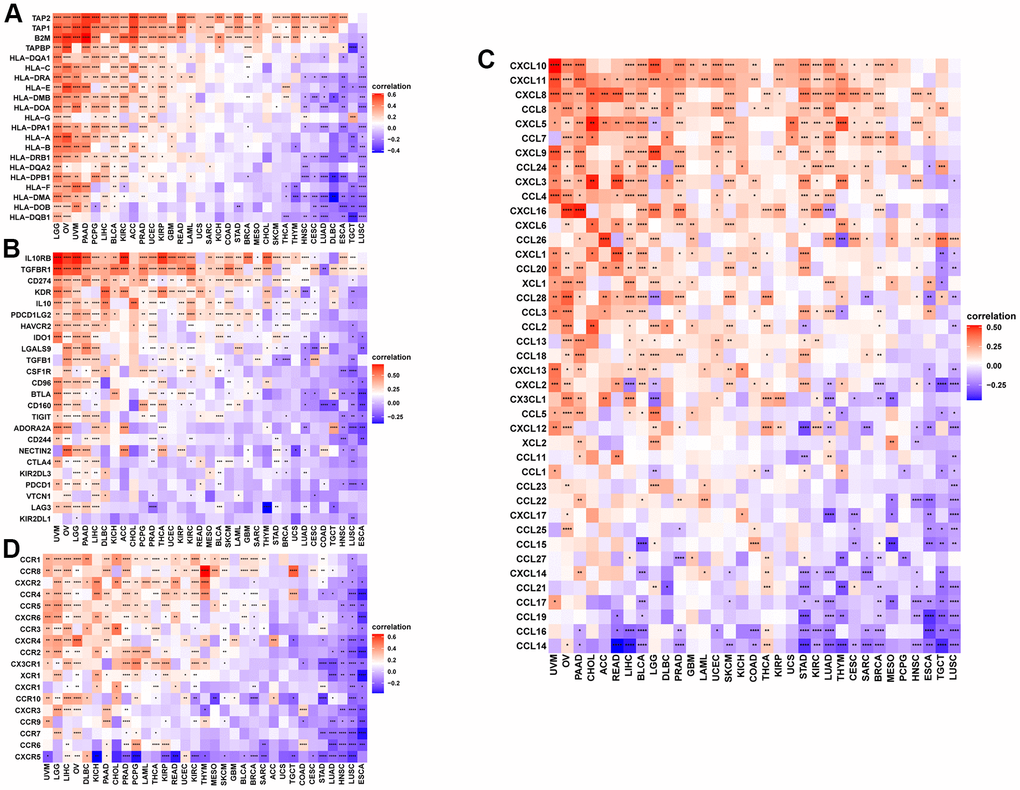 Correlation between immune regulation related genes. (A–D) The correlation between NUP37 expression and MHC genes (A), immunosuppressive genes (B), chemokines (C), and chemokine receptors (D). *P 