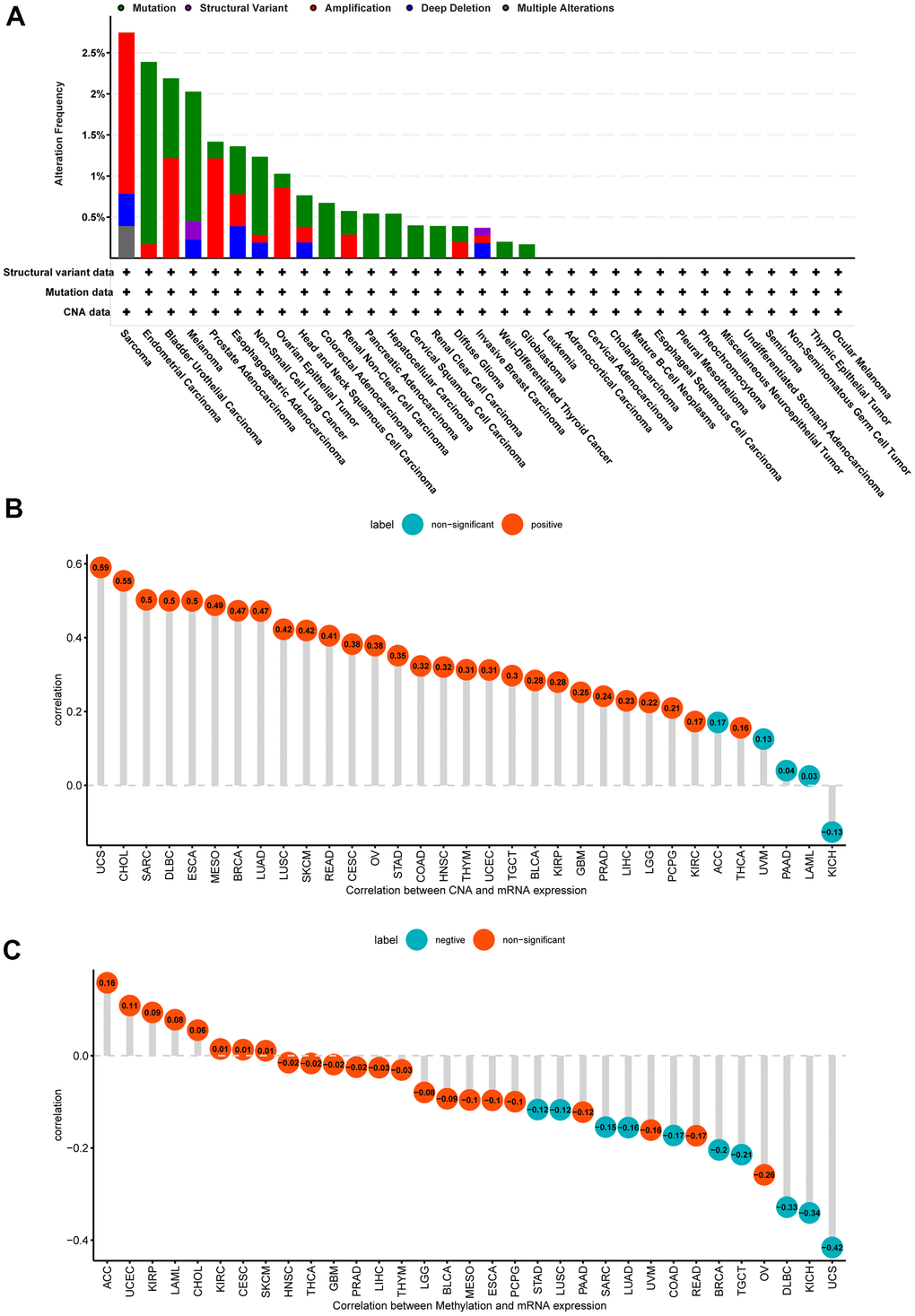 Gene alteration of NUP37. (A) The gene alteration of NUP37 in TCGA pan-cancer using cBioportal database. (B) The correlation between NUP37 expression and CNA. (C) The correlation between NUP37 expression and DNA methylation.