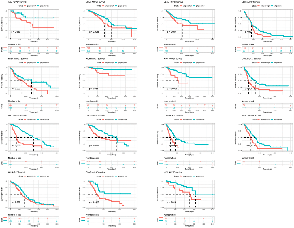 Prognostic significance of NUP37 for OS of patients. Kaplan-Meier OS results of NUP37 in pan-cancer. The best cut-off of NUP37 expression was set as cut-off value.