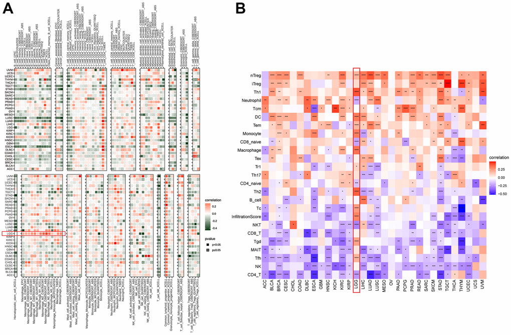 Immune infiltration analysis. (A) The correlation between NUP37 expression and infiltration levels of immune cells downloaded from TIMER2. Red represents positive correlation, green represents negative correlation, and the darker the color, the stronger the correlation. (B) The correlation between NUP37 expression and infiltration levels of immune cells downloaded from ImmuCellAI database. Red represents positive correlation, blue represents negative correlation, and the darker the color, the stronger the correlation. *P 