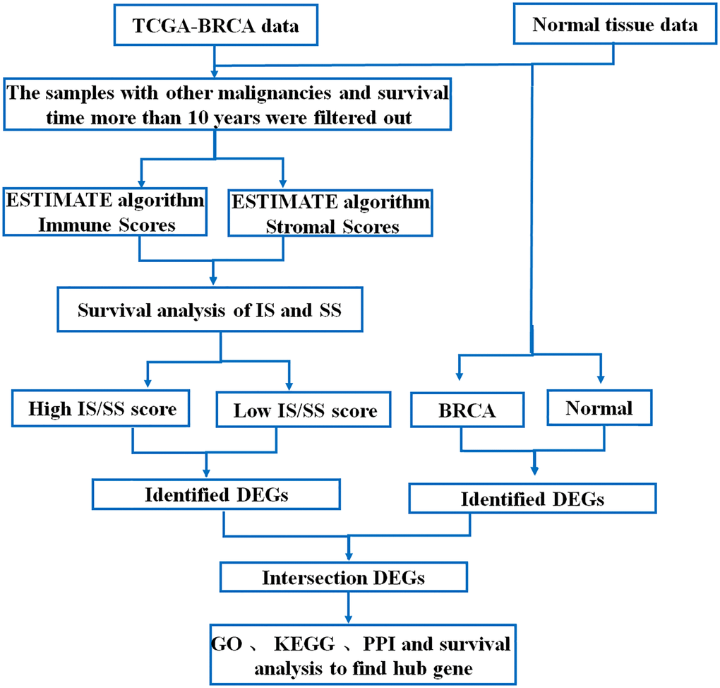 Flow chart of data processing in this study.