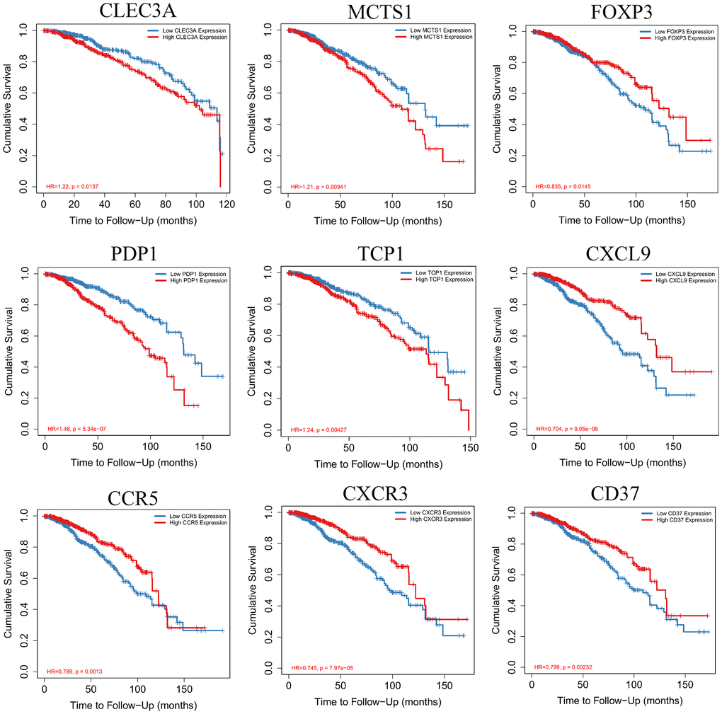 Kaplan-Meier survival curves with the log-rank test were performed for the hub genes.