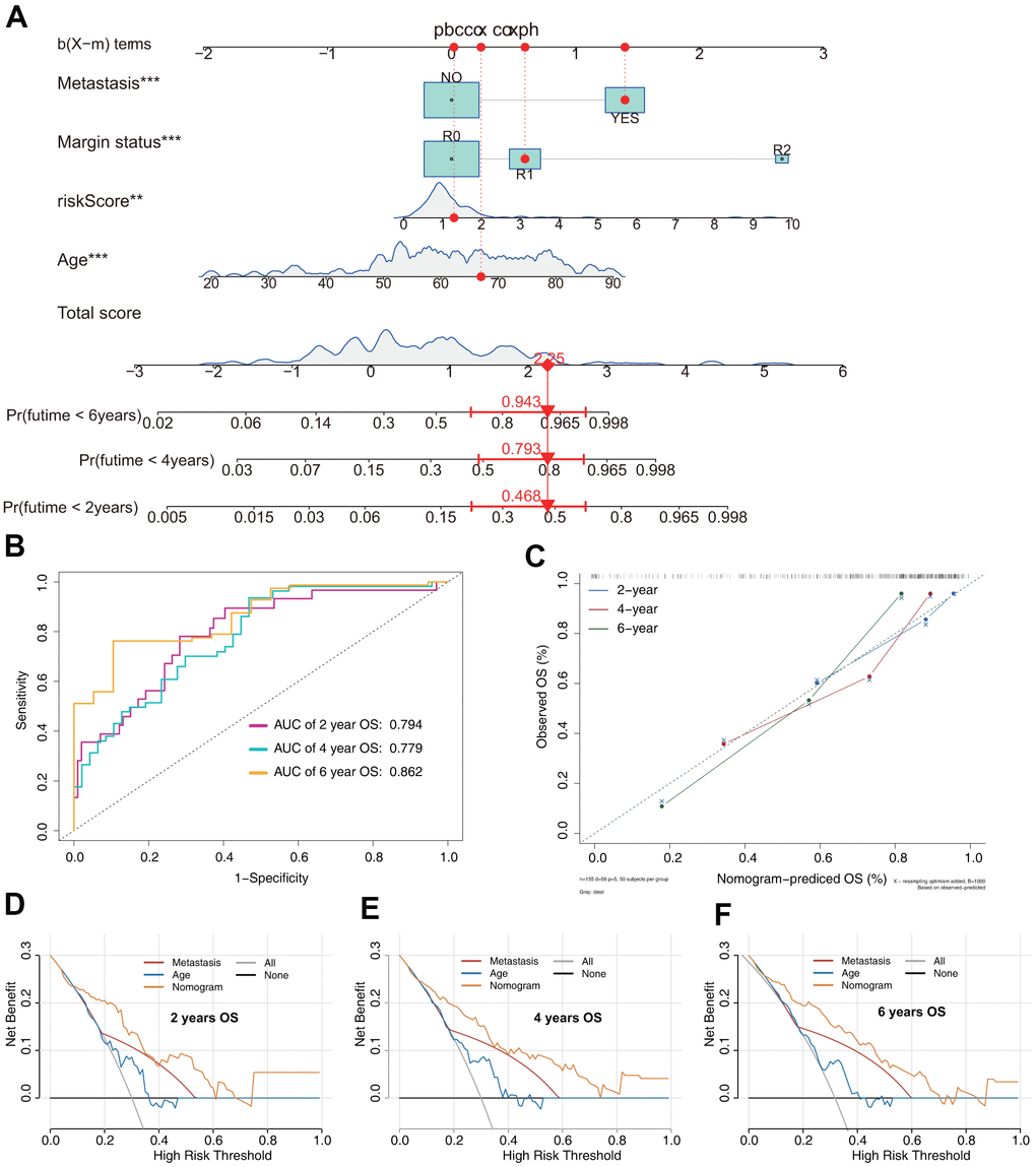 Prediction model of OS in patients with sarcoma. (A) Nomogram constructed based on the risk signature and other independent risk factors identified by Cox analysis. (B) ROC analysis of OS prediction in patients with sarcoma. (C) Calibration plot for evaluating the estimation accuracy of the nomogram. (D) Two-year decision curve analysis (DCA) comparing the model and other clinical features. (E) Four-year DCA comparing the model and other clinical features. (F) Six-year DCA comparing the model and other clinical features.