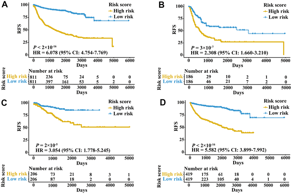 Kaplan-Meier curves of patients in training cohorts stratified by the IRGPI. (A) RFS among patients in the meta-training cohort. (B) RFS among patients in the training cohort of bladder cancer. (C) RFS among patients in the training cohort of prostate cancer. (D) RFS among patients in the training cohort of kidney cancer. HRs and 95% CIs are shown for high vs low immune risk. P values comparing risk groups were calculated by the log-rank test.