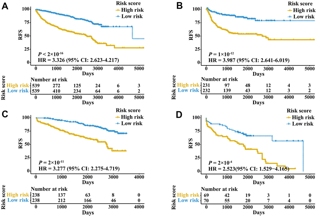 Kaplan-Meier curves of patients in validation cohorts stratified by the IRGPI. (A) RFS among patients in the meta-validation cohort. (B) RFS among patients in the validation cohort of bladder cancer. (C) RFS among patients in the validation cohort of prostate cancer. (D) RFS among patients in the validation cohort of kidney cancer.