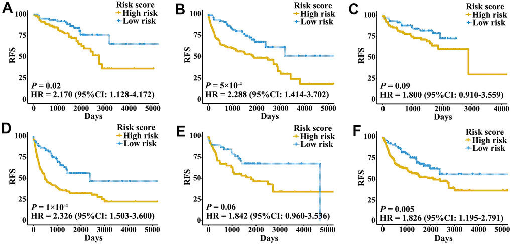 Kaplan-Meier curves of patients with different clinical factors in the meta-validation cohort. (A) RFS among patients with early-stage disease. (B) RFS among male patients. (C) RFS among patients younger than 60 years. (D) RFS among patients with late-stage disease. (E) RFS among female patients. (F) RFS among patients older than 60 years.