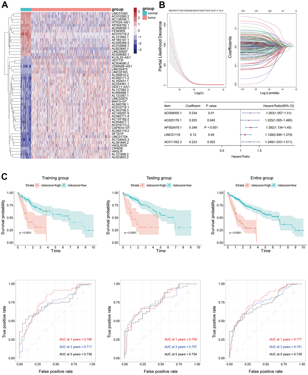 (A) The top 50 of both up- and down-regulated DElncRNAs with the most significant differences were represented by the heatmap. (B) EMT-related lncRNA signature was established by Univariate Cox regression, LASSO and Multivariate Cox regression analysis. (C) Kaplan–Meier survival analysis suggested a lower OS in high-risk groups. ROC curve showed good accuracy of this signature in predicting OS of 1, 3 and 5 years.