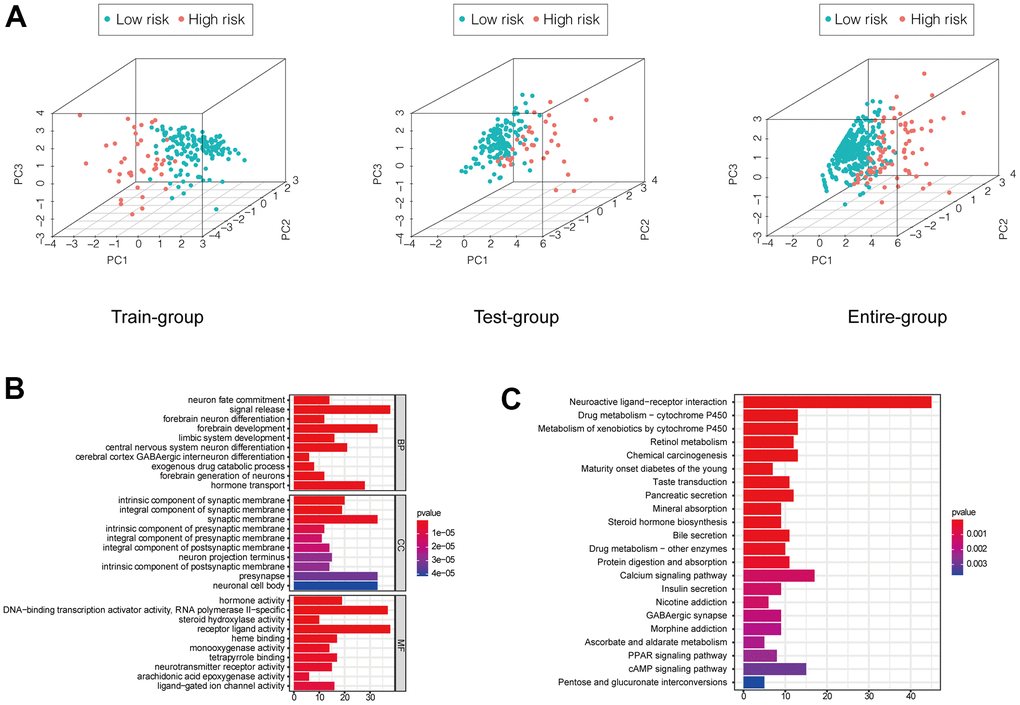 (A) PCA showed a scattered distribution of patients in each group. (B, C) GO and KEGG analysis of DEGs between high and low-risk groups of the entire group.