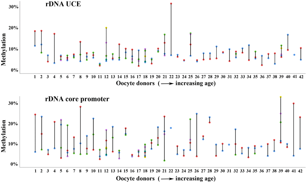 Methylation variation of multiple oocytes from the same woman. Methylation variation of the rDNA UCE (upper panel) and core promoter (lower panel) in individual (color-coded) oocytes from the same woman. Women 1-42 are arranged with increasing age (from 26 to 39 years) on the x-axis. Most women, i.e. numbers 3 and 23 show similar methylation values in different oocytes and rDNA amplicons. Some women, i.e. 12 and 21 display enormous methylation variation between oocytes.