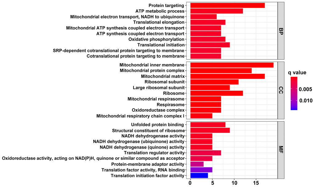 The top 10 significantly enriched terms in GO enrichment analysis. The horizontal axis indicates the number of genes enriched in this term. The term color denotes the degree of enrichment.