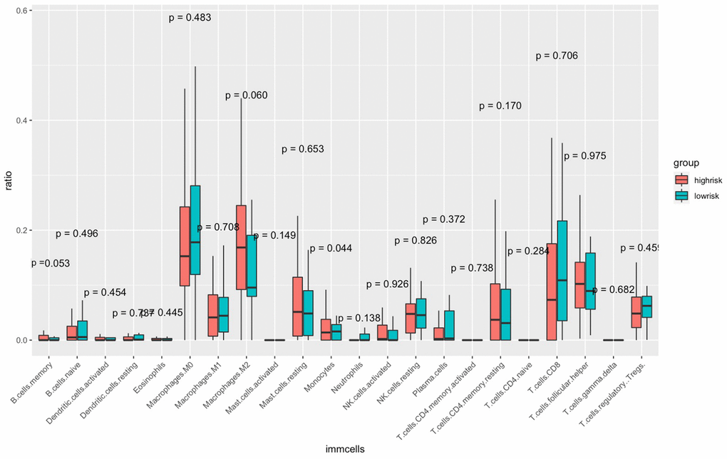 Comparisons of the abundance of infiltrating immune cells between the high- and low-risk groups. The horizontal axis is the immune cells, and the vertical axis is the infiltration fraction. High-risk and low-risk patients are marked in red and blue, respectively.