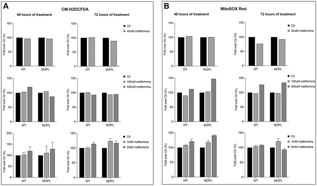 Total and mitochondrial superoxide content after metformin treatment at different concentrations and timing. Flow cytometry quantification of total ROS (A) using CM-H2DCFDA in WT and in POLD1 human dermal fibroblasts after 48 and 72 hours of 40 uM, 100 uM, 500 uM, 1 and 5 mM of metformin treatment. (B) Flow cytometry quantification of mitochondrial superoxide using MitoSOX Red in WT and in POLD1 human dermal fibroblasts after 48 and 72 hours of 40 uM, 100 uM, 500 uM, 1 and 5 mM of metformin treatment.