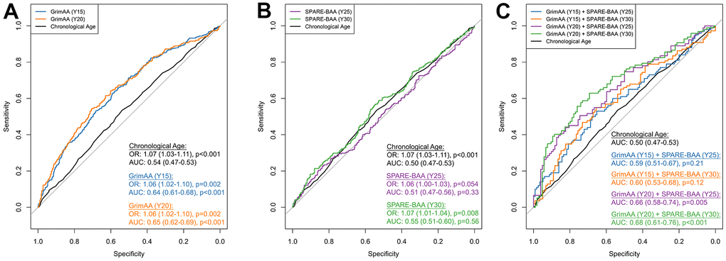 ROC curves of GrimAA (A) SPARE-BAA (B) and their joint modeling (C) in predicting global cognitive status at Y30. The median of the first principal component of Stroop, RAVLT (long delay recall), and DSST test scores (i.e., global cognitive function) measured at Y30 was used to dichotomize the global cognitive status into low (denote by 1) vs. high (denote by 0). The ROC curves were generated using 80/20 training/testing sets with 5-fold cross-validation to avoid overfitting. Associations between two aging markers and Y30 cognitive status evaluated by logistic regression were presented as odds ratio (OR) with every one year greater in GrimAA/SPARE-BAA, adjusting for age, sex, race, study fields, and education. The p-values of AUC were calculated by comparing with the chronological age benchmark AUC curve. GrimAA: GrimAge acceleration; SPARE-BAA: SPARE-BA acceleration; OR: odds ratio; AUC: area under the ROC curve.