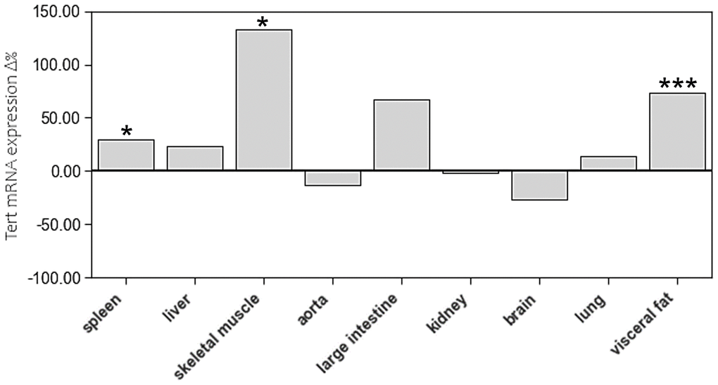 The impact of age on Tert mRNA expression of different tissue types. The boxes represent the delta% variation of Tert mRNA expression in adults compared to young. *p ***p 