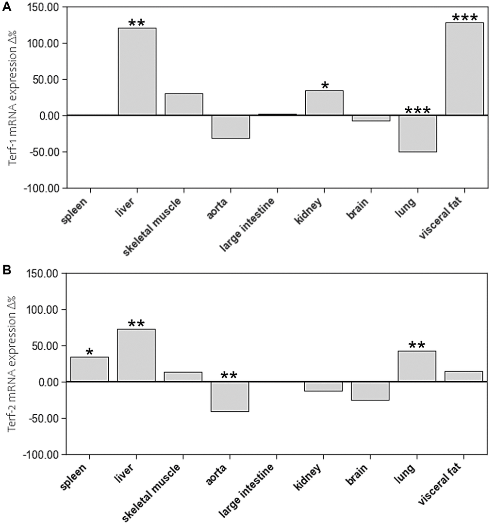 The impact of age on mRNA expression of (A) Terf-1 and (B) Terf-2 in different tissue types. The boxes represent the delta% variation of mRNA expression of Terf-1 and Terf-2 in adults compared to young. *p **p ***p 