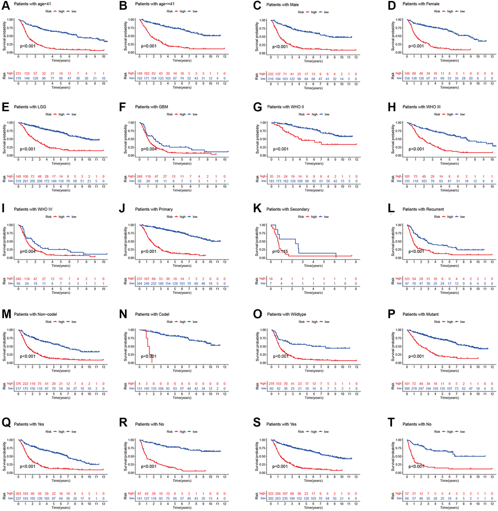 Stratified analyses of high- and low-risk group. (A and B) age. (C and D) Gender. (E and F) Histology. (G–I) WHO stage. (J–L) Pathology type. (M and N) 1p19q codeletion status. (O and P) IDH mutation status. (Q and R) Chemotherapy. (S and T) Radiotherapy.